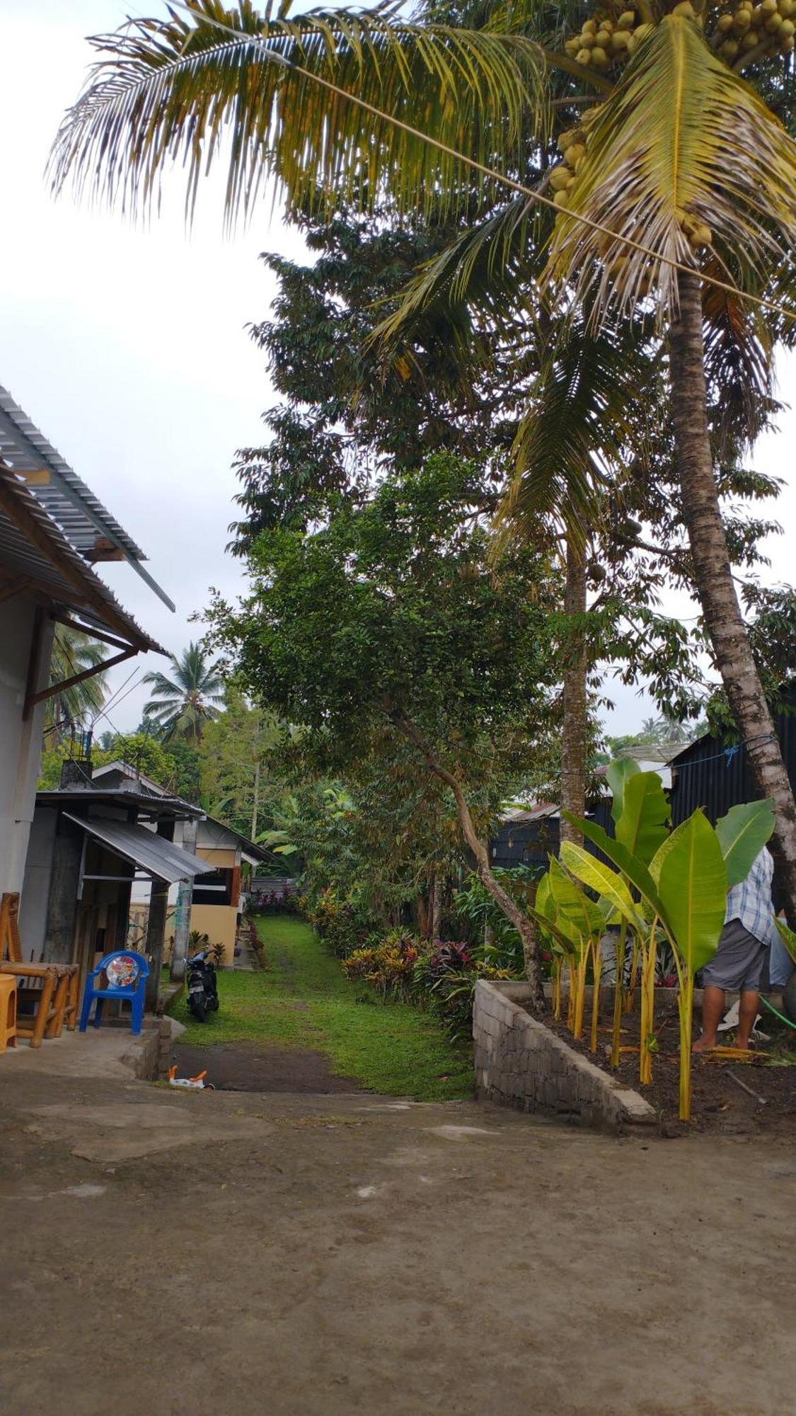Tatasya Homestay Senaru Exterior foto